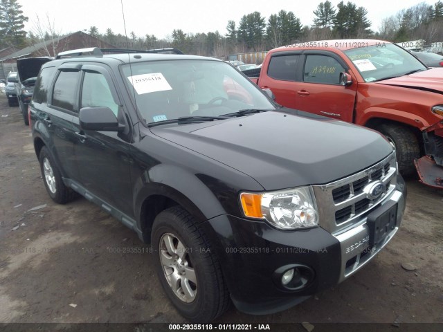 Ford Escape (2011)