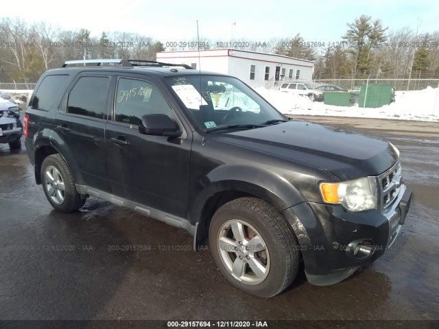 Ford Escape (2011)