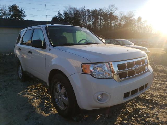 Ford Escape (2010)