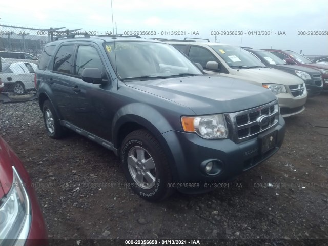 Ford Escape (2010)