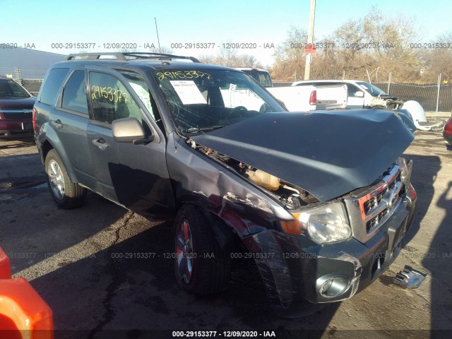 Ford Escape (2010)