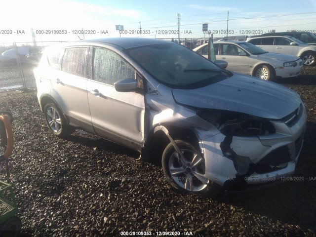 Ford Escape (2014)