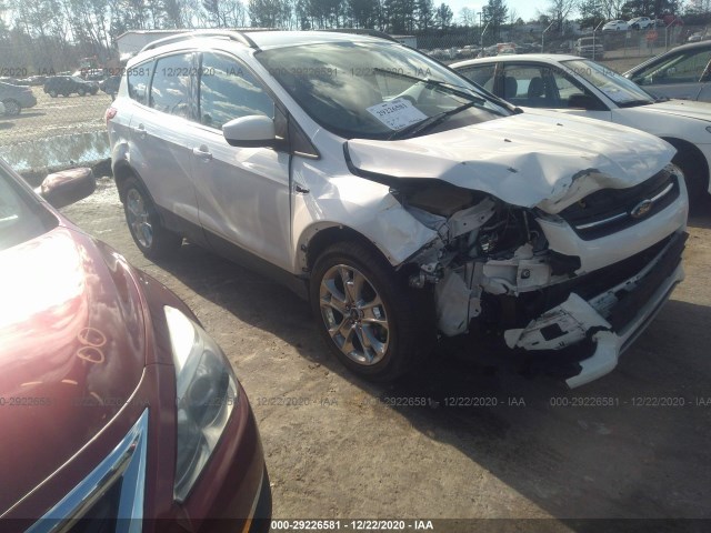 Ford Escape (2014)
