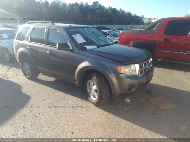 Ford Escape (2010)