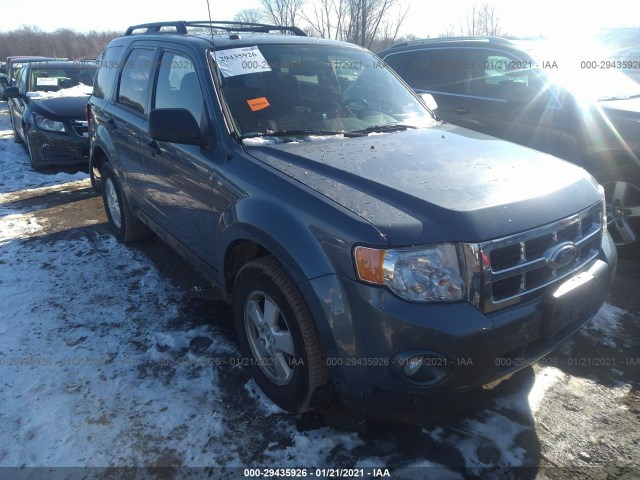 Ford Escape (2011)