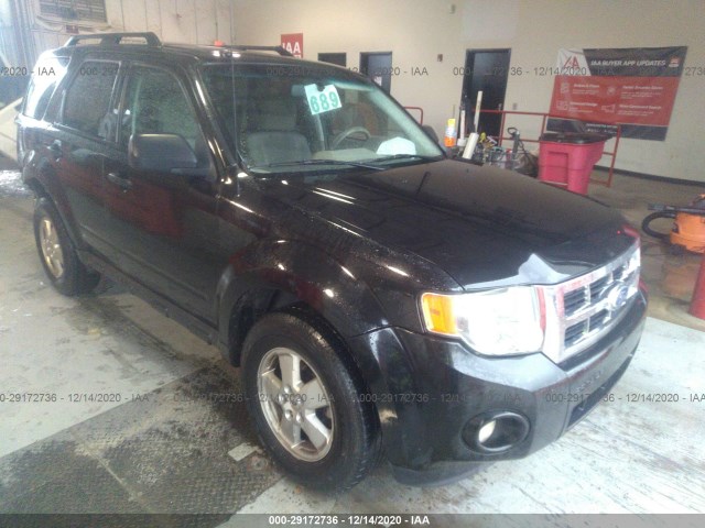 Ford Escape (2011)