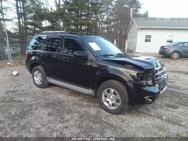 Ford Escape (2011)