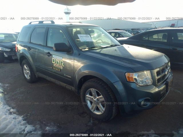 Ford Escape (2011)