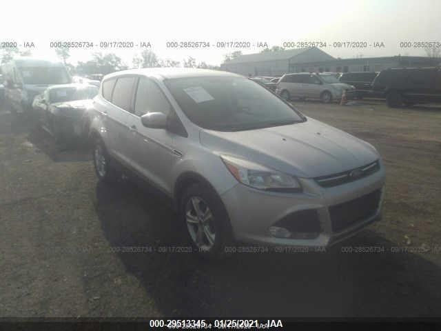 Ford Escape (2014)