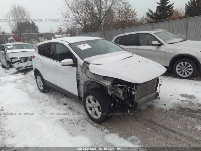 Ford Escape (2014)