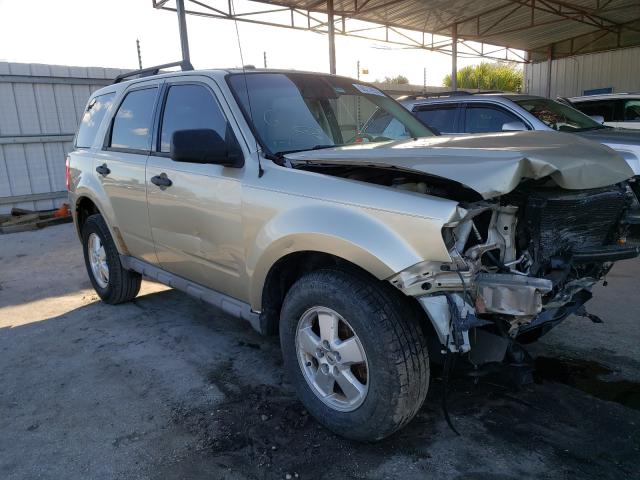 Ford Escape xlt (2010)