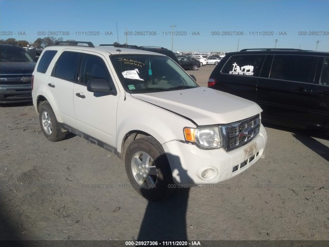 Ford Escape (2010)