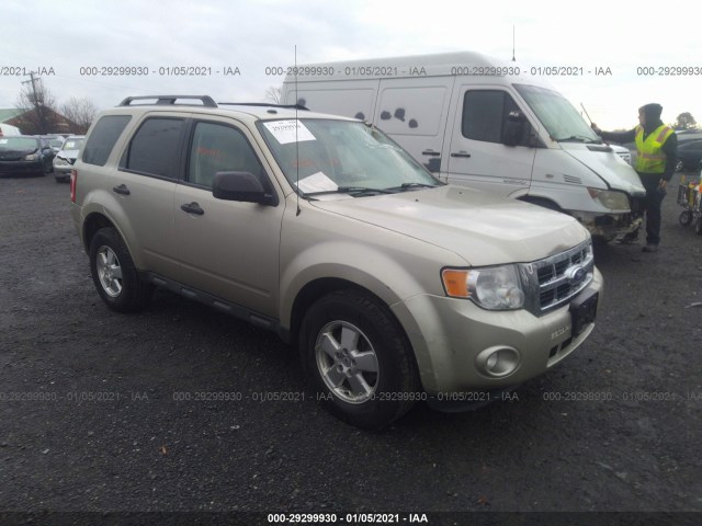 Ford Escape (2011)