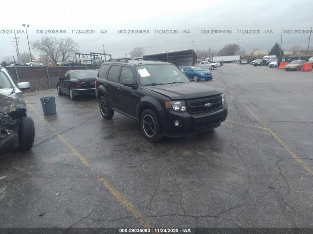 Ford Escape (2010)