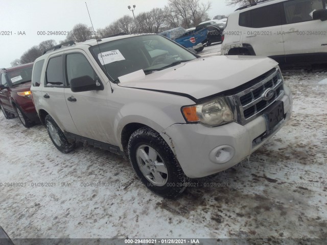 Ford Escape (2010)