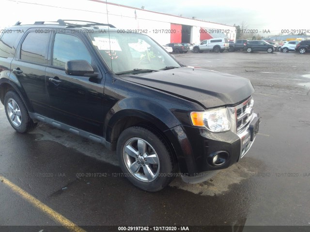 Ford Escape (2010)