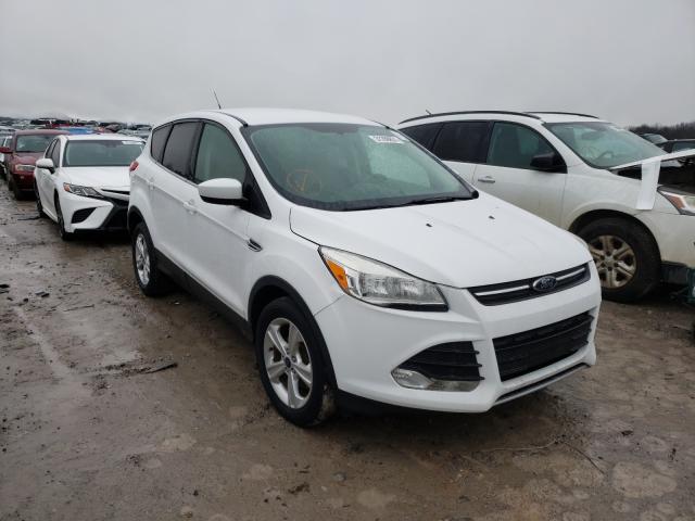 Ford Escape (2015)