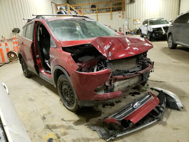Ford Escape sel (2013)