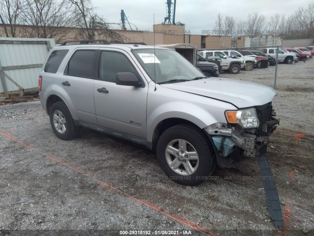Ford Escape (2010)