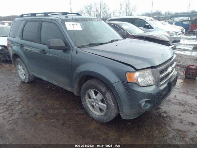 Ford Escape (2010)