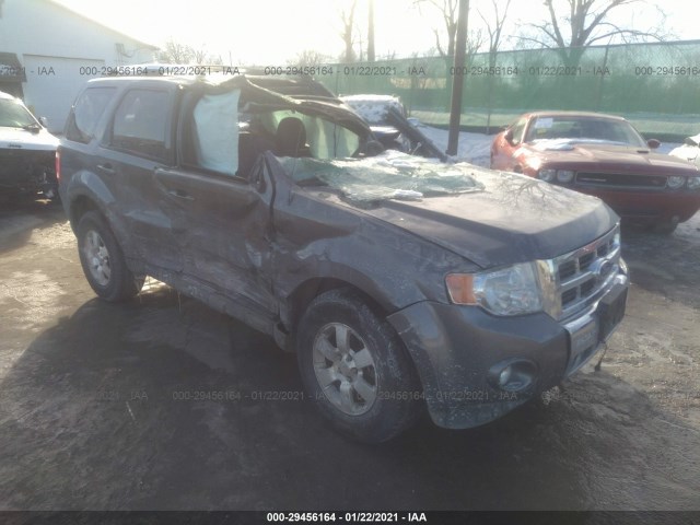 Ford Escape (2012)