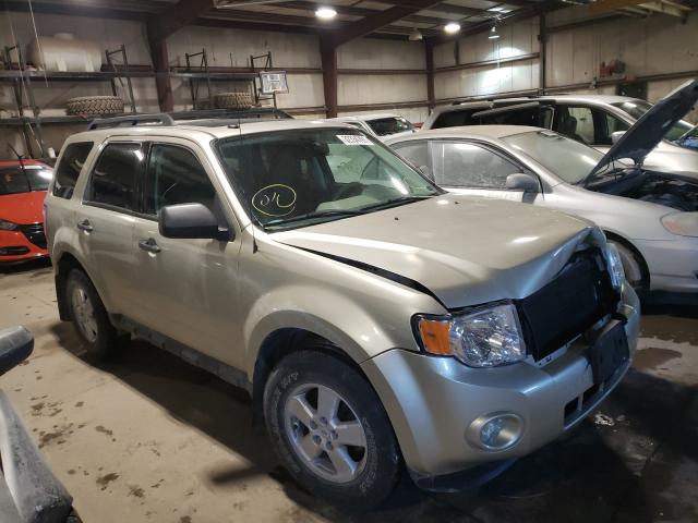 Ford Escape xlt (2010)