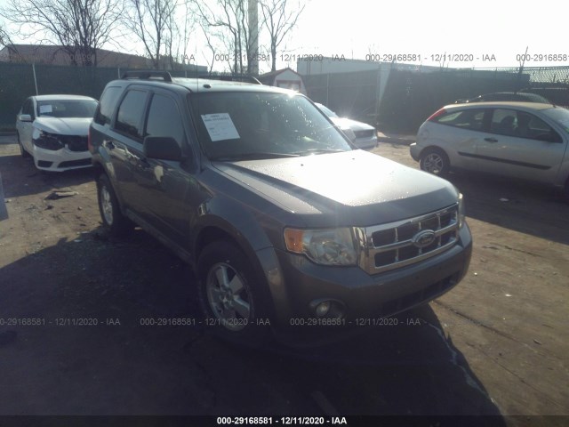 Ford Escape (2010)