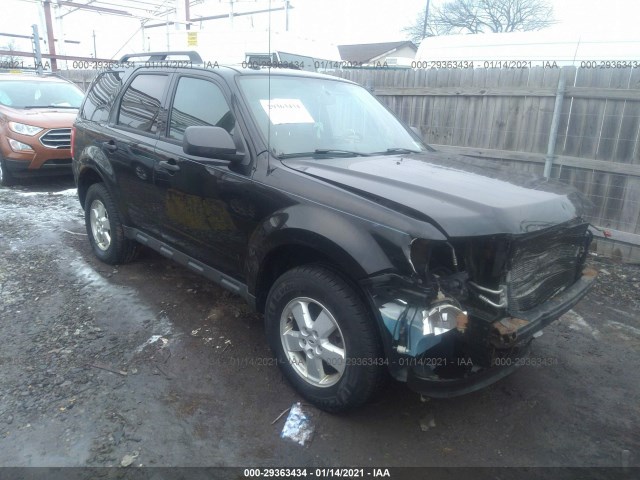 Ford Escape (2010)