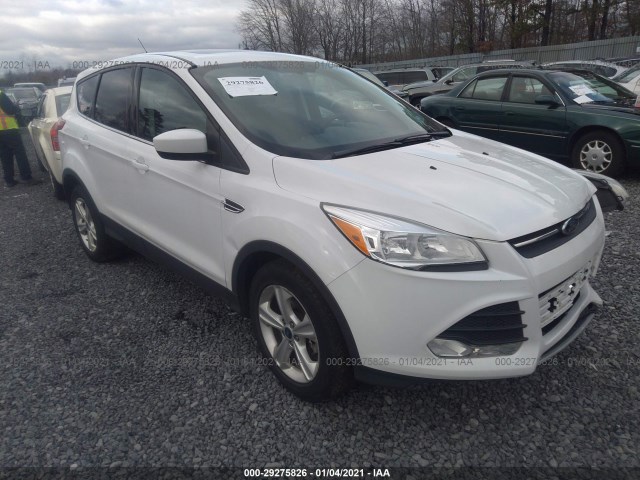 Ford Escape (2015)