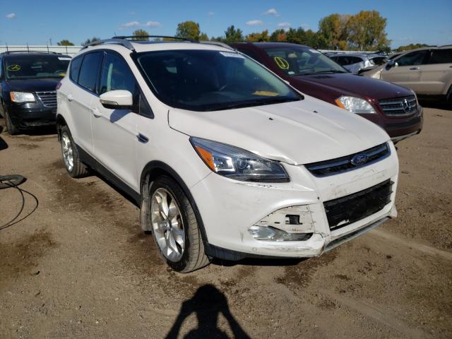 Ford Escape tit (2013)