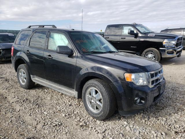Ford Escape xlt (2011)
