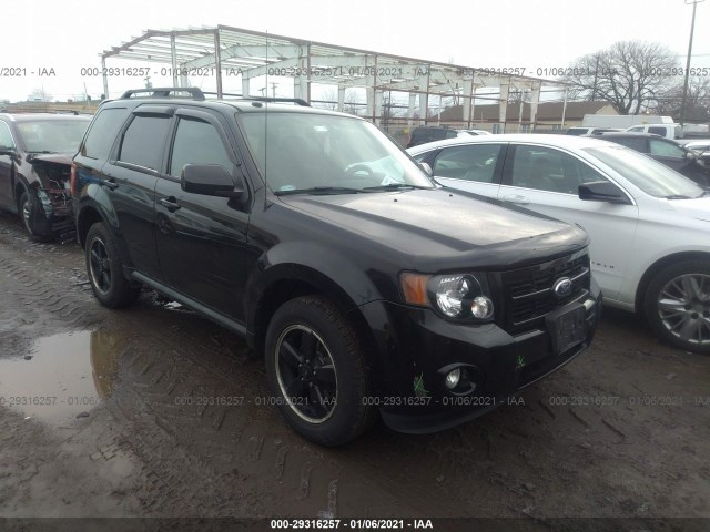 Ford Escape (2010)