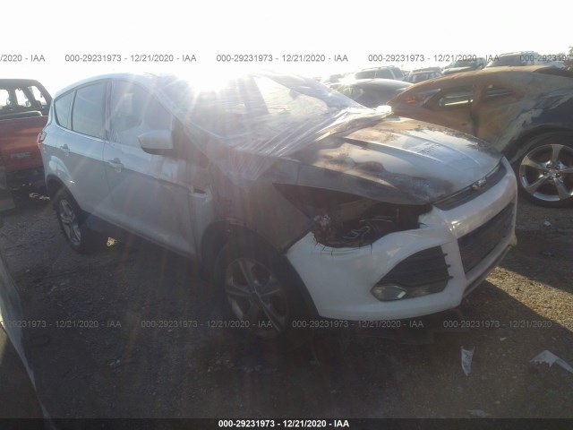 Ford Escape (2013)
