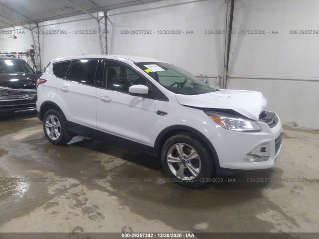 Ford Escape (2014)