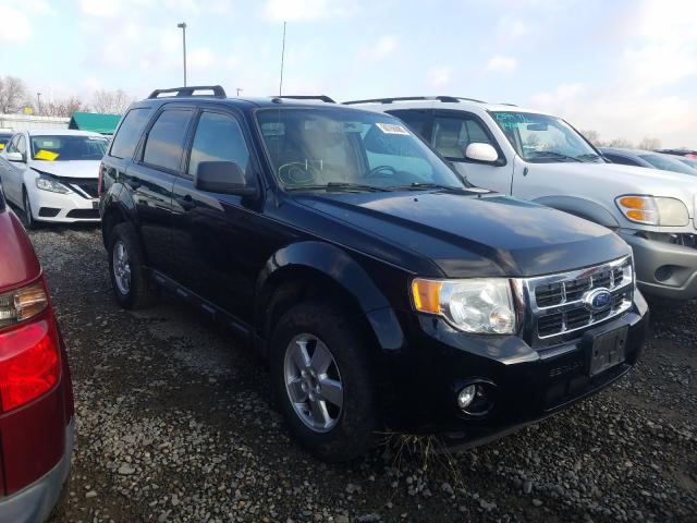 Ford Escape xlt (2010)