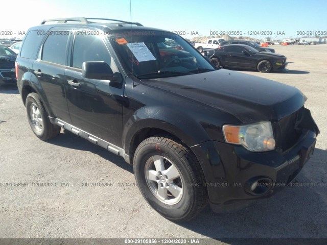 Ford Escape (2010)