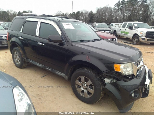 Ford Escape (2011)