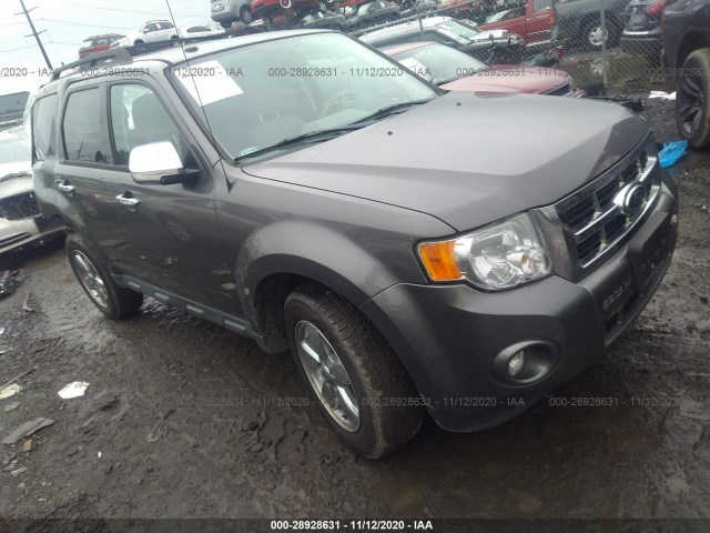 Ford Escape (2012)