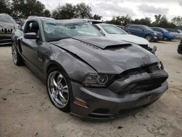 Ford Mustang gt (2013)