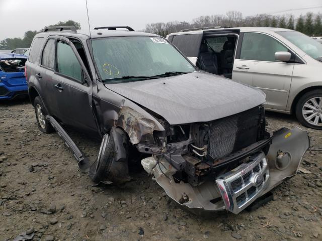 Ford Escape xlt (2010)