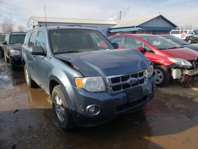 Ford Escape (2010)