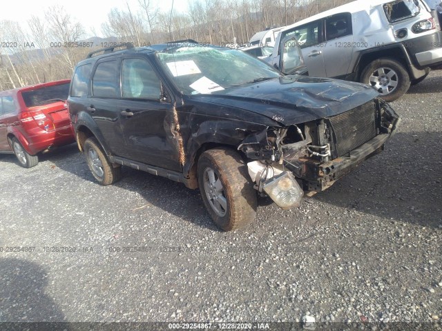Ford Escape (2010)