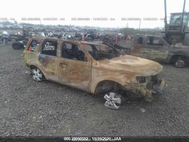 Ford Escape (2010)