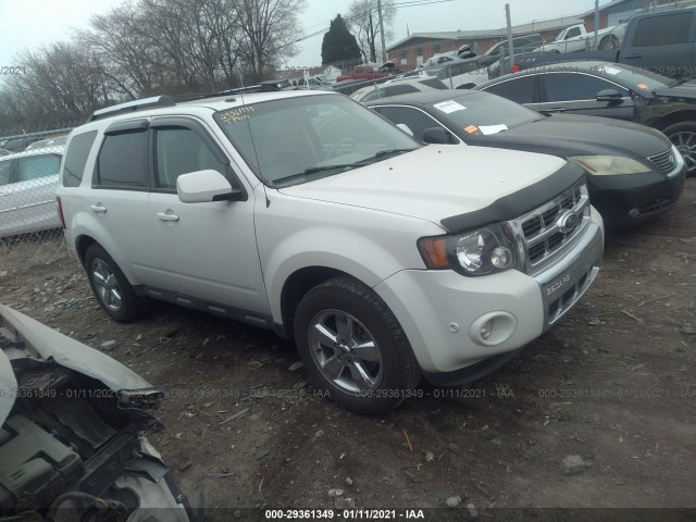 Ford Escape (2011)