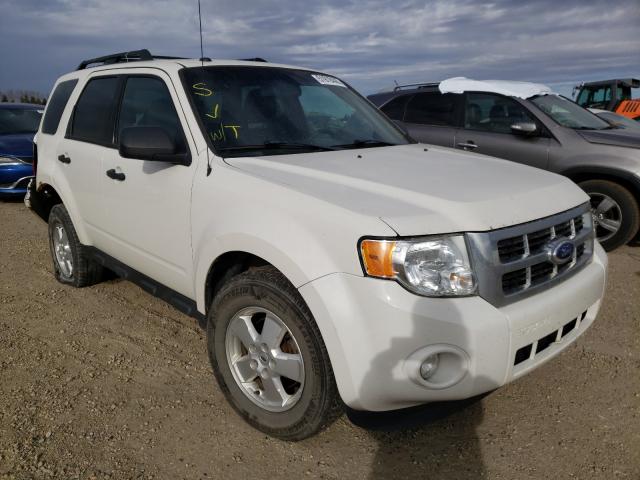 Ford Escape xlt (2011)
