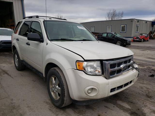 Ford Escape xlt (2010)