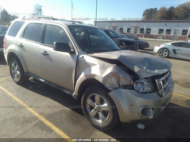 Ford Escape (2010)