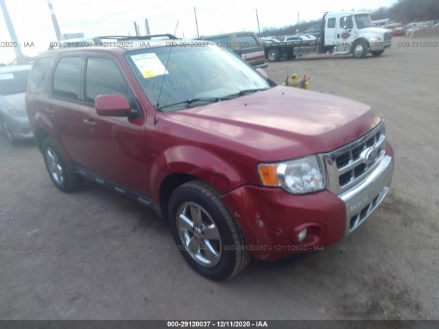 Ford Escape (2010)