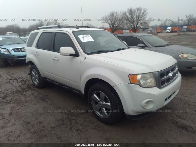 Ford Escape (2011)