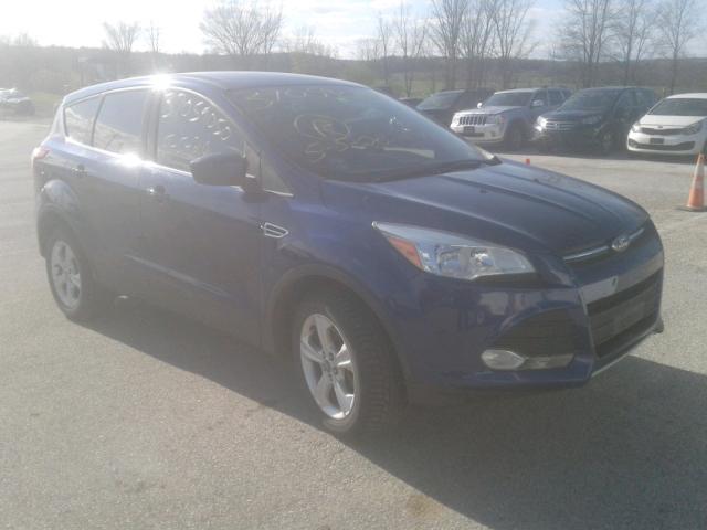 Ford Escape se (2013)